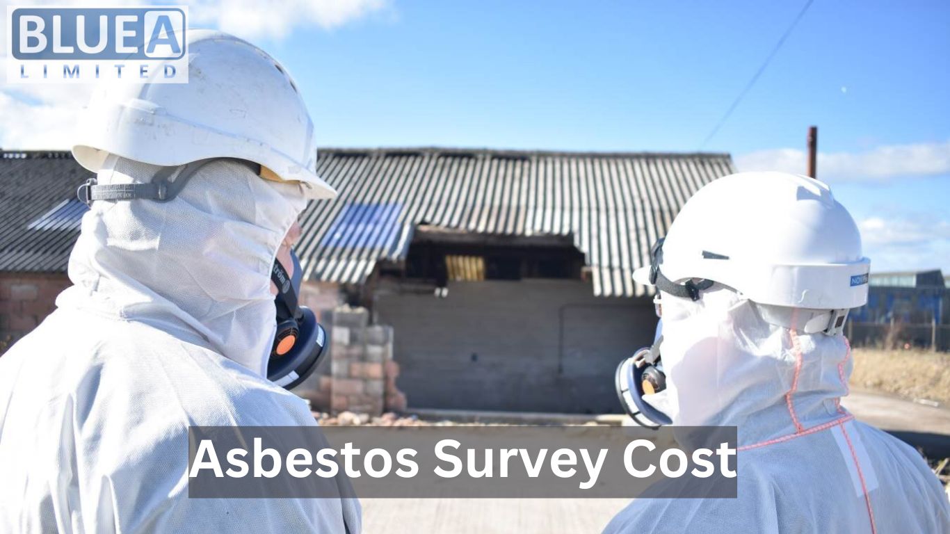 Understanding Asbestos Survey Cost Your Comprehensive Guide